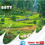 Tours and Travels