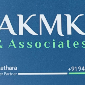 consultant services