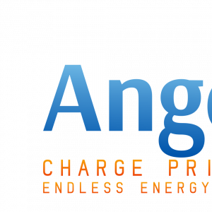 Angeyani Charge Private Limited.