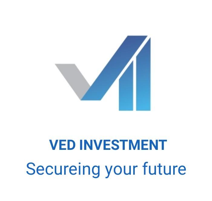 investment company