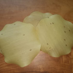 delight papad