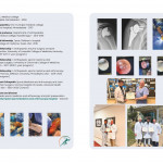 Orthopedic Doctor