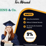 charted accountants