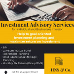 charted accountants