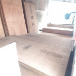 Timber Trader