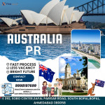 Visa consultant