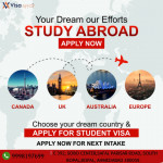 Visa consultant
