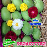 Seasoneble Store