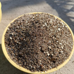 Agriculture perlite