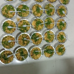 Nasta House